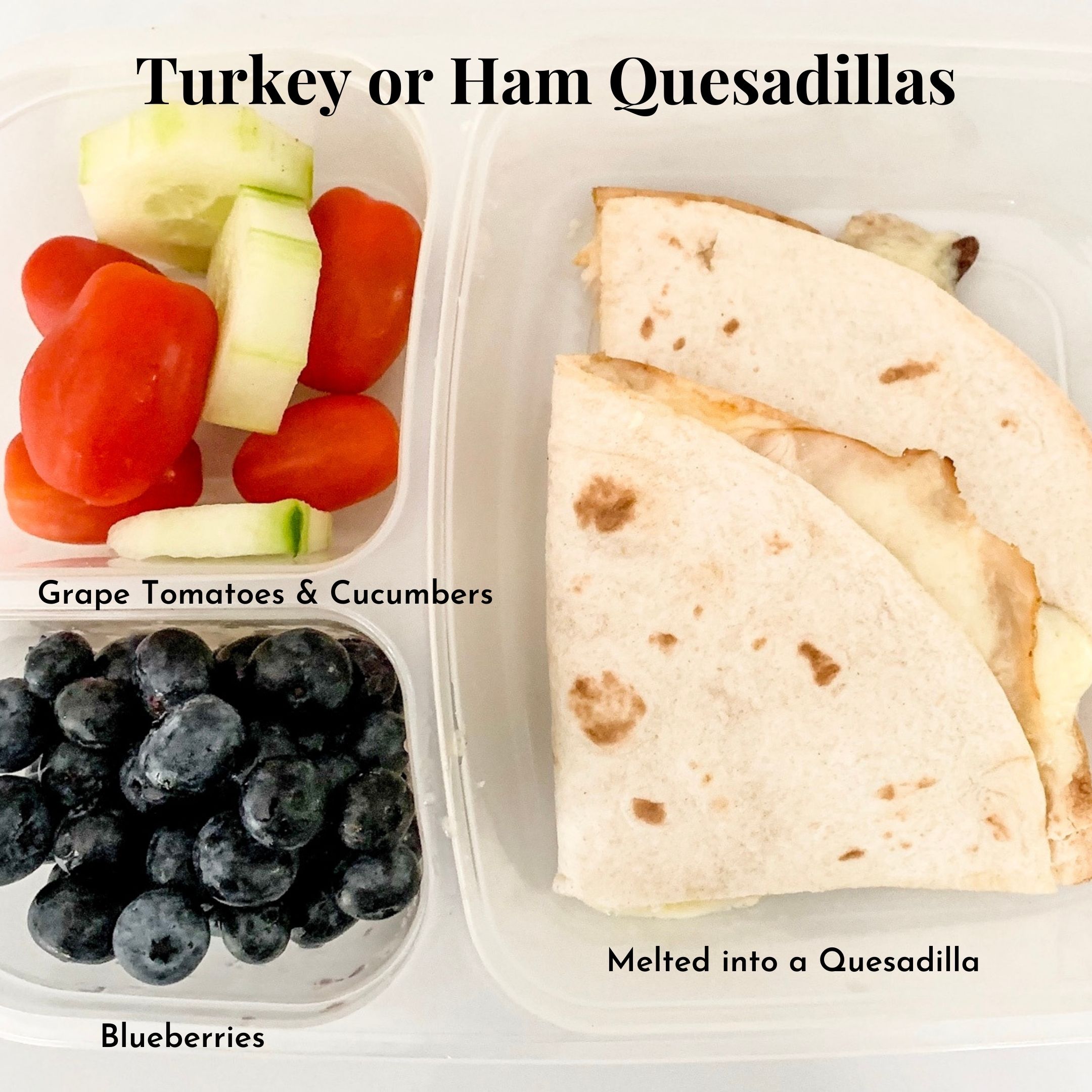 https://foodplaygo.files.wordpress.com/2023/07/39dc4-kids-turkey-cheese-quesadilla.jpg?w=2160&h=2160
